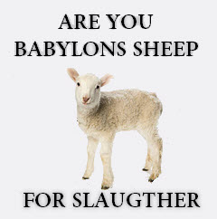 lAMB SLAUGHTER PIC-3