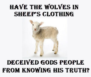 Sheep - Pic for website